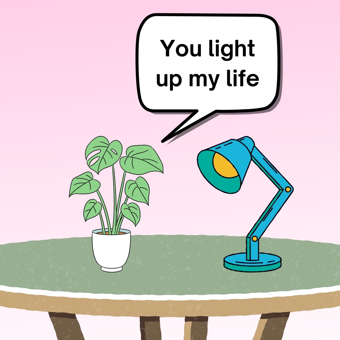 You light up my life A plant says to a lamp "You light up my life".
