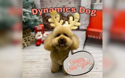 Happy New Year from Dynamics Dog and KEC