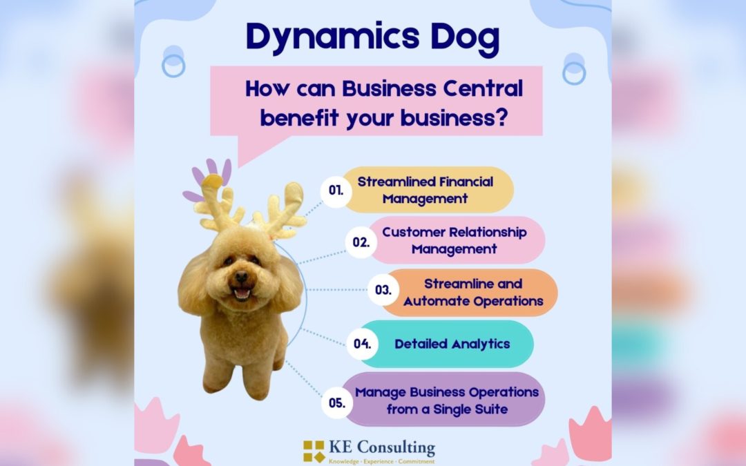 Dynamics Dog says "How can Business Central benefit your business?"