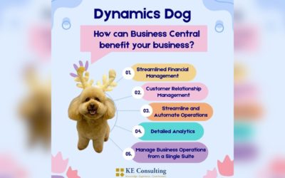 How Can Business Central Dynamics 365 Nav Benefit Your Business?