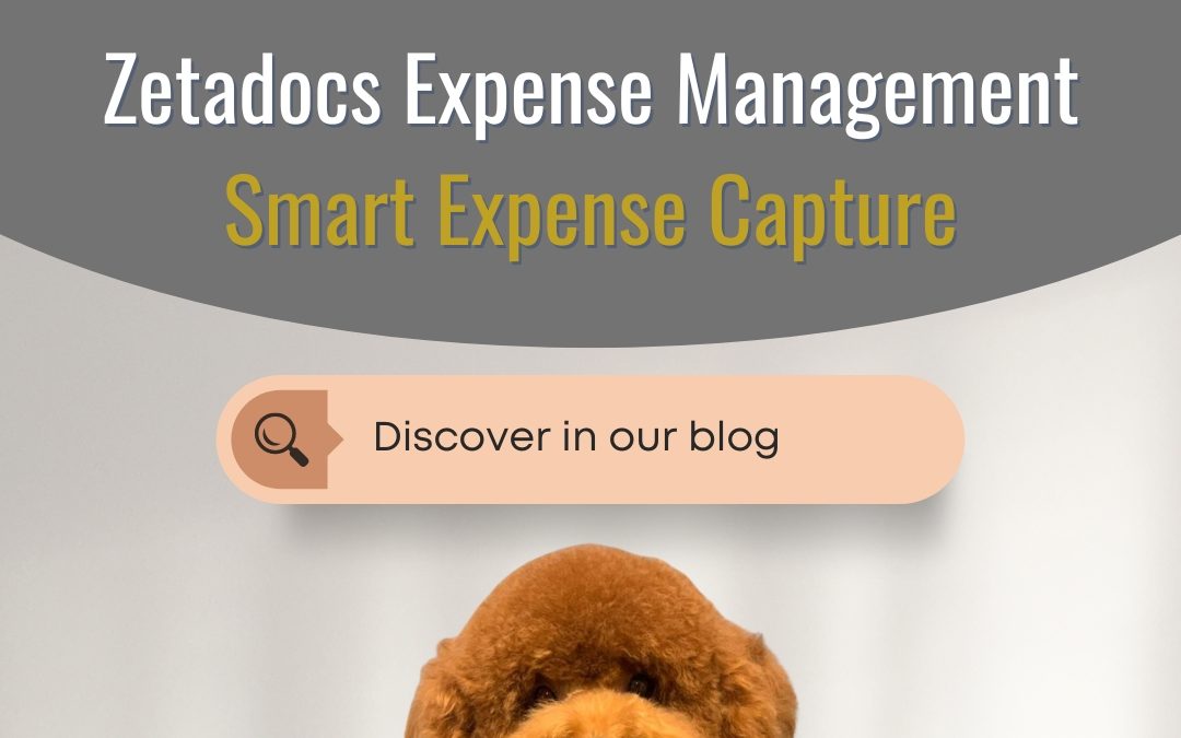 Dynamics Dog with text saying 'KE Consulting. Zetadocs Expense Management. Smart Expense Capture. Discover in our blog.'